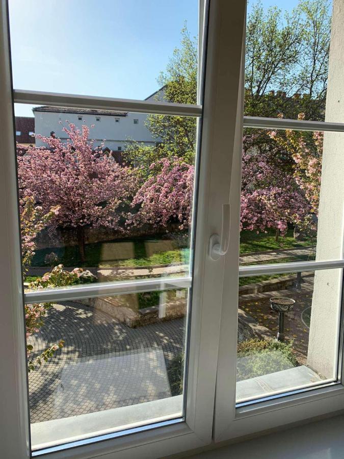 Negy Evszak Apartman- Tapolca Exterior photo
